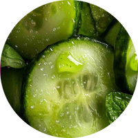 Cucumber Oil